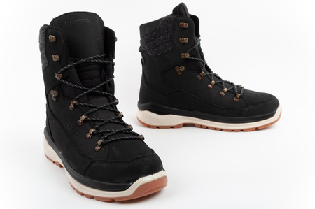 Lowa buty trekkingowe męskie Renegade Evo Ice 2 GORE-TEX wysokie