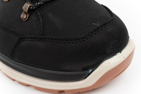 Lowa buty trekkingowe męskie Renegade Evo Ice 2 GORE-TEX wysokie